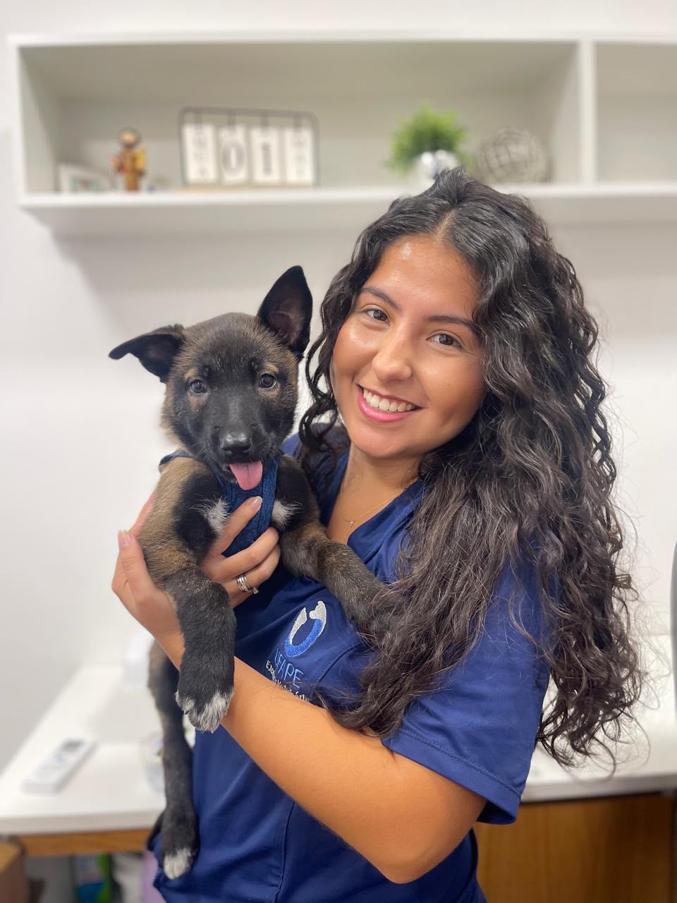 Médica veterinária da UFAPE segurando um filhote no consultório